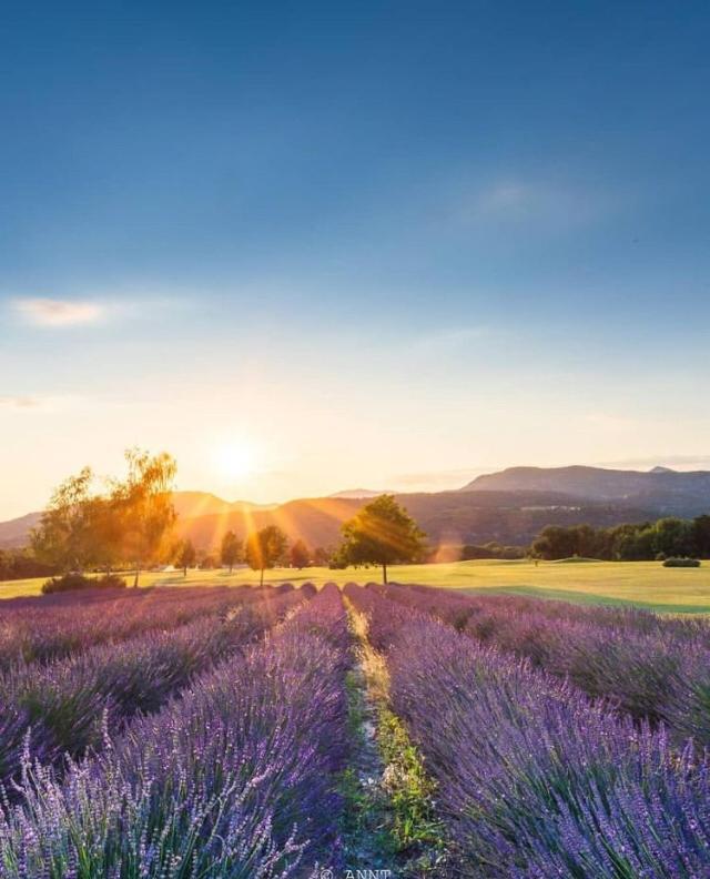 Les Allees Du Golf Digne Les Bains Bagian luar foto